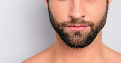 Close up of great beard